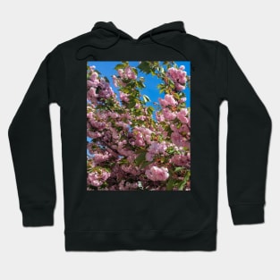 Cherry Blossoms Hoodie